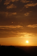 David Plant Photography - Wildlife Photographer - Sunset - E